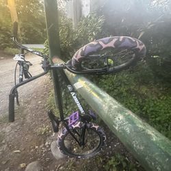 Sunday Bmx 