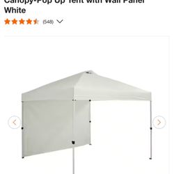Everbilt 10 ft. x 10 ft. Commercial Instant Canopy-Pop Up Tent with Wall Panel White
