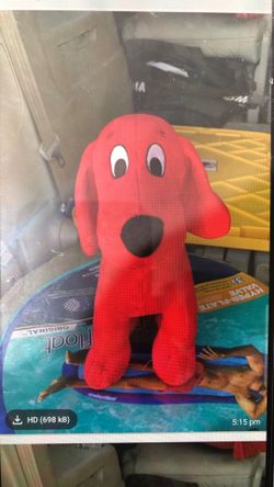 Stuffed toys, dragon kite and swim float
