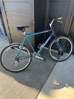 Raleigh M40 Bike