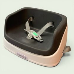 Ingenuity booster seat