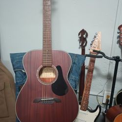 Alverez Acoustic Mint
