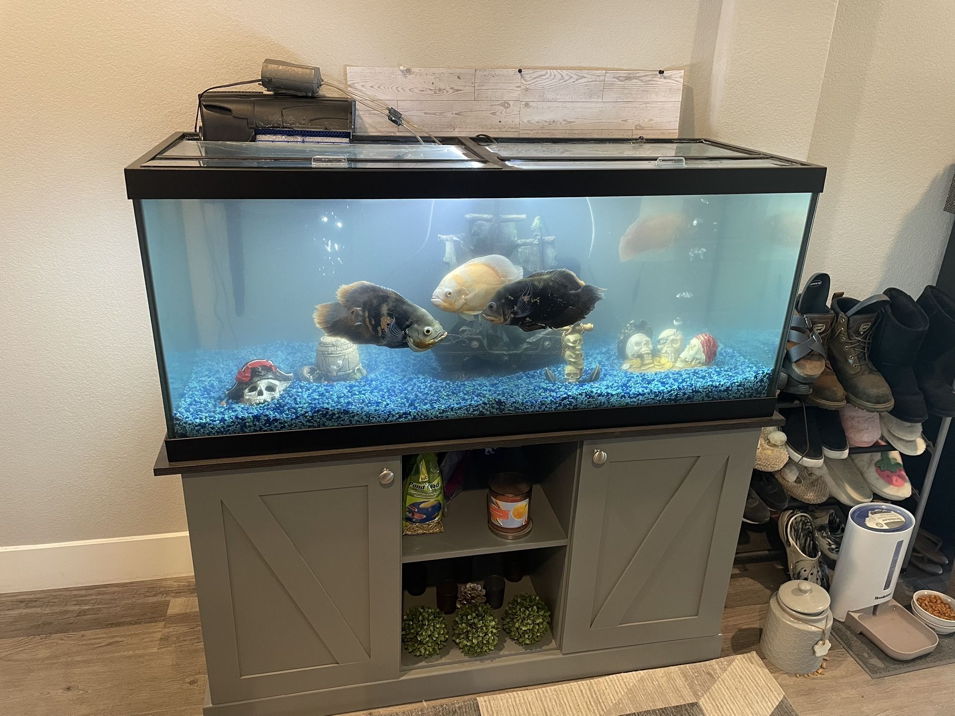 75 Gallon Freshwater Fish tank With Many Extras