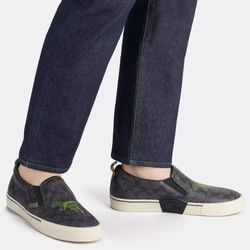 Coach Rexy Shoes 