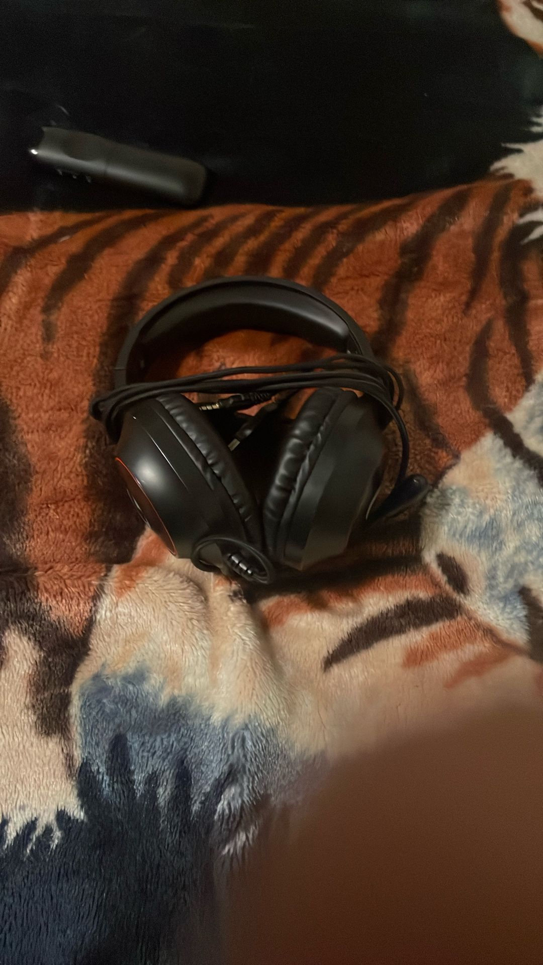 Mic