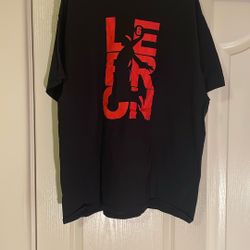 LeBron James Vintage City Shirt 2XL