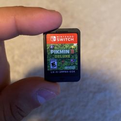 Nintendo Switch Game