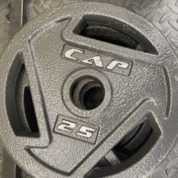 2 x 25lbs plates