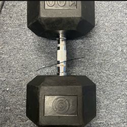 Weight, 100 Lbs Dumbbell 