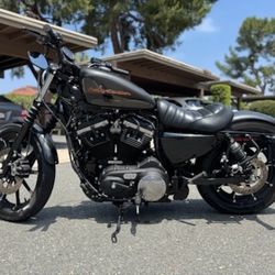 2019 Harley Davidson Iron 883 Low Miles