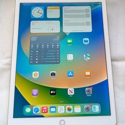 NICE APPLE iPad PRO 12.9 inch 32GB WIFI iOS16 