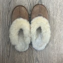 Uggs Slippers 