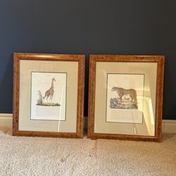 Animal Prints For Child’s Bedroom with Burl Wood Frame 