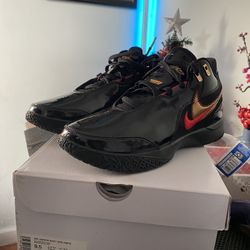 Nike Zoom LeBron NXXT Gen AMPD Size 9.5