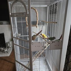 Bird Cage