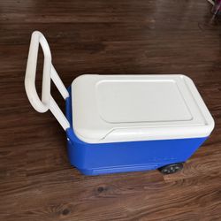 hielera Igloo 35 Cans 