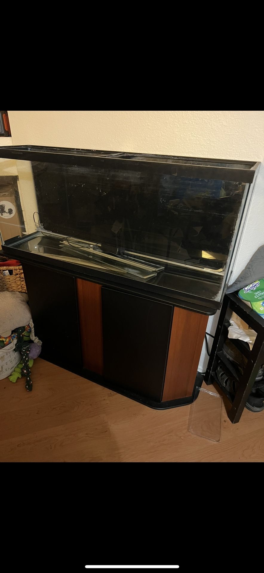 55 Gal With Lids, And Lamp