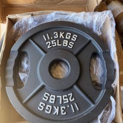 New In Box Never Used  Pair (2) - 25lb Cast Iron Plates