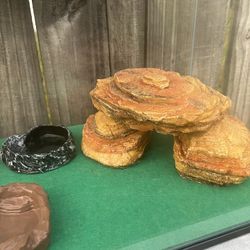 Glass Reptile Terrarium