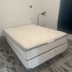 Bed Frame, Box Spring, Mattress 