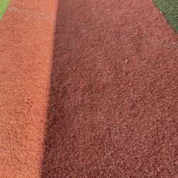 Small Yard Turf