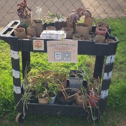 Wildomar Plannt Exchange 