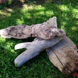 3 Pieces Of Genuine Driftwood 