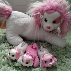Puppy Surprise:Roxy & Babies