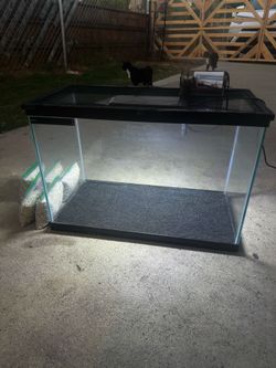 20 Gallon Fish Tank
