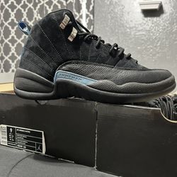 Jordan Nubuck 12s