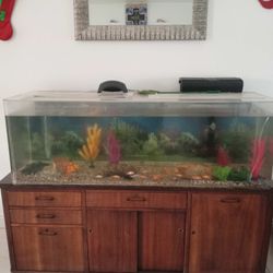 Fish Tank