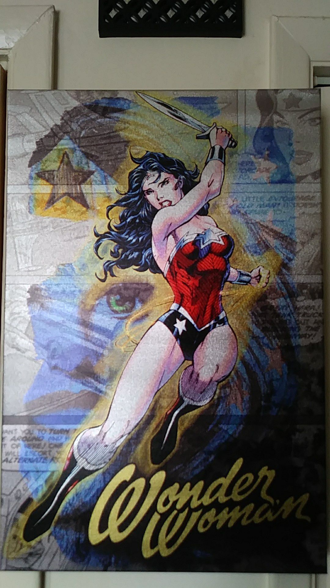16" by 24" Wonder Woman ( Canvas )