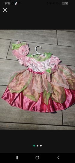 Girl Fairy 12 M toddler
