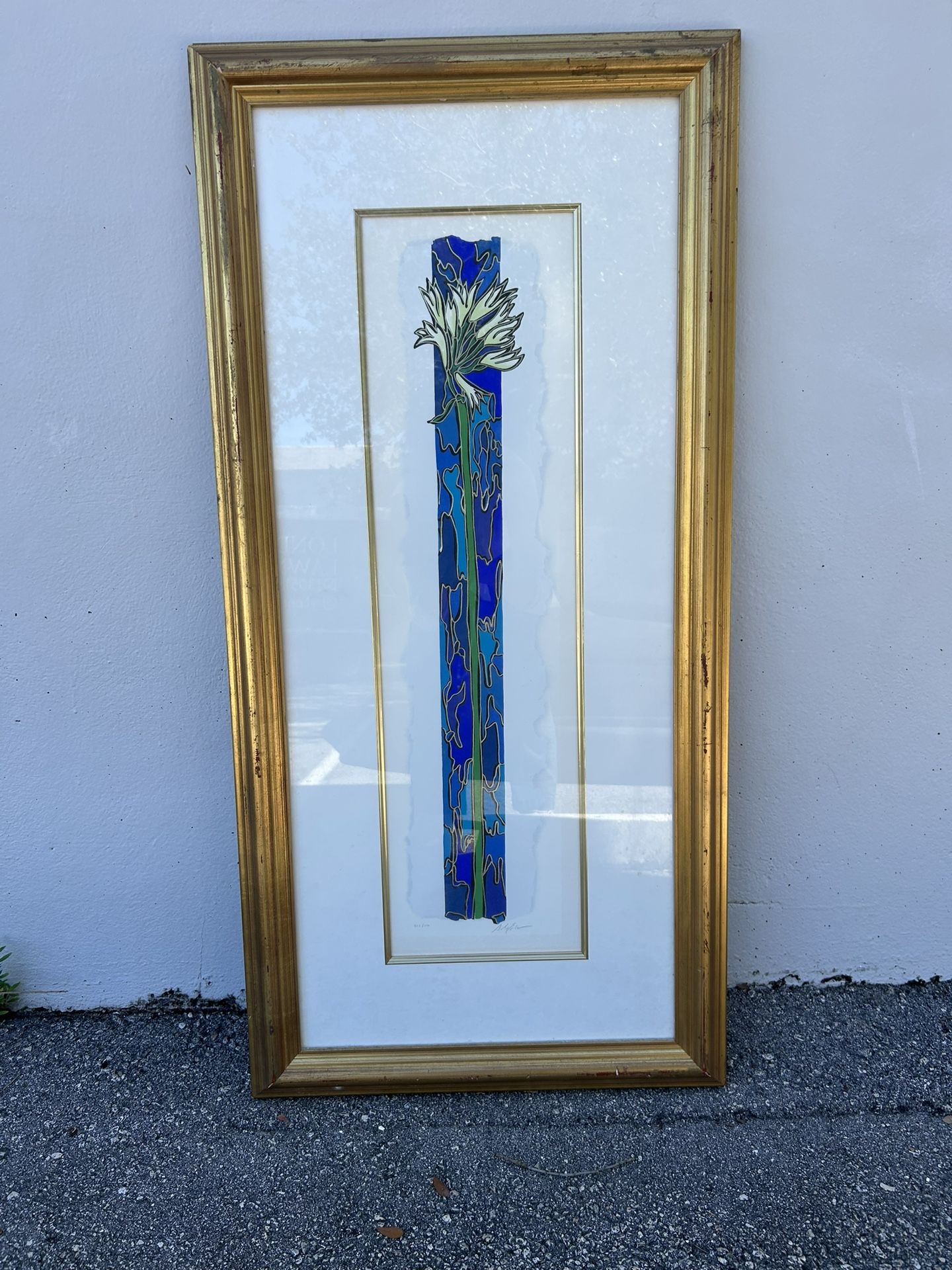 Picture Glass & Frame