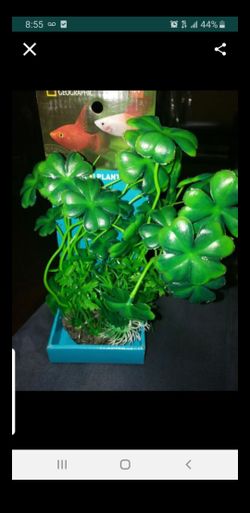 Tengo varias plantas artificiales para pesera $3 la pieza todas son iguales