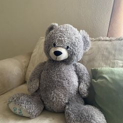 Teddy Bear 🧸 Gray 