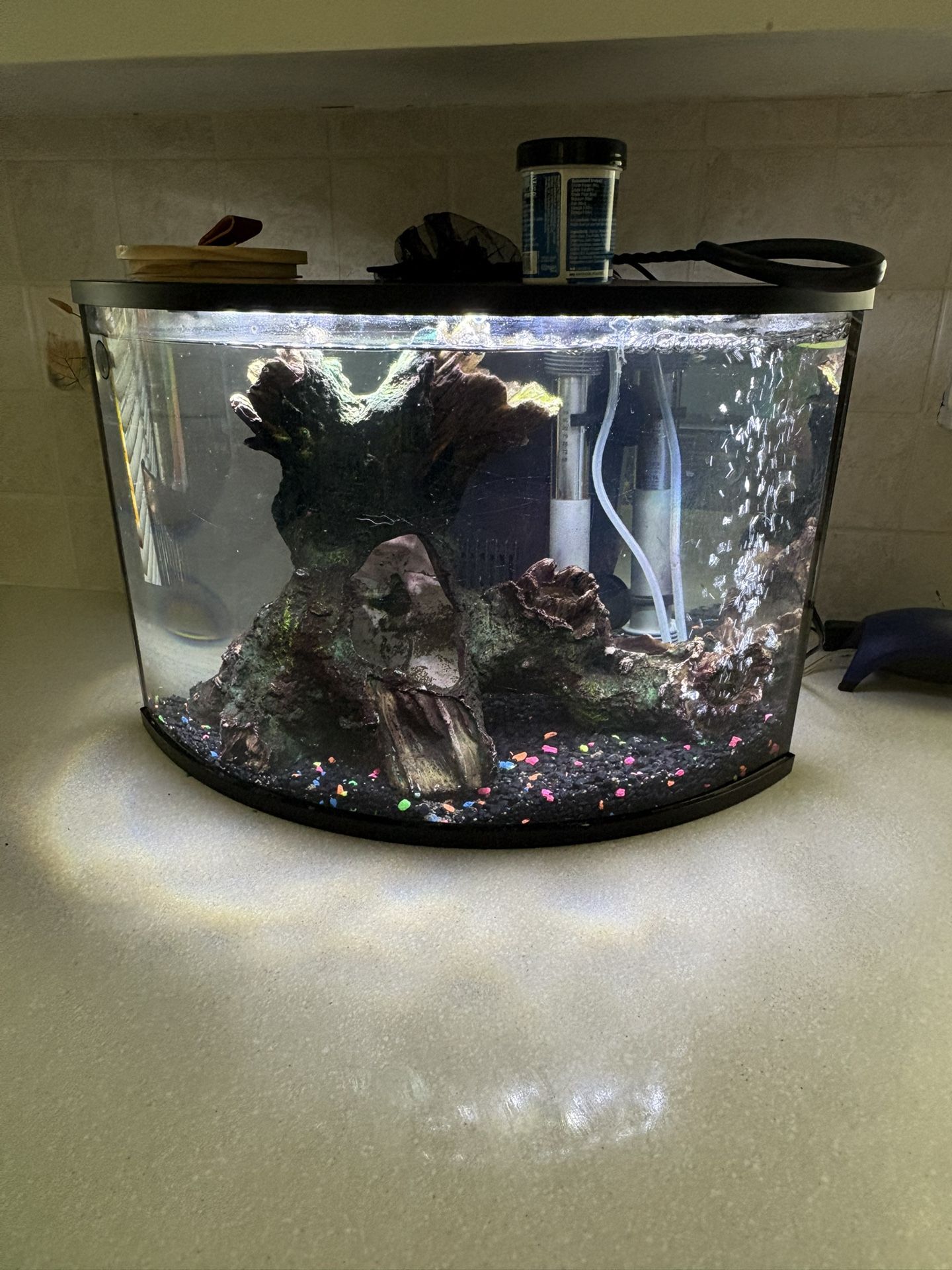 6 Gallon Fish Tank