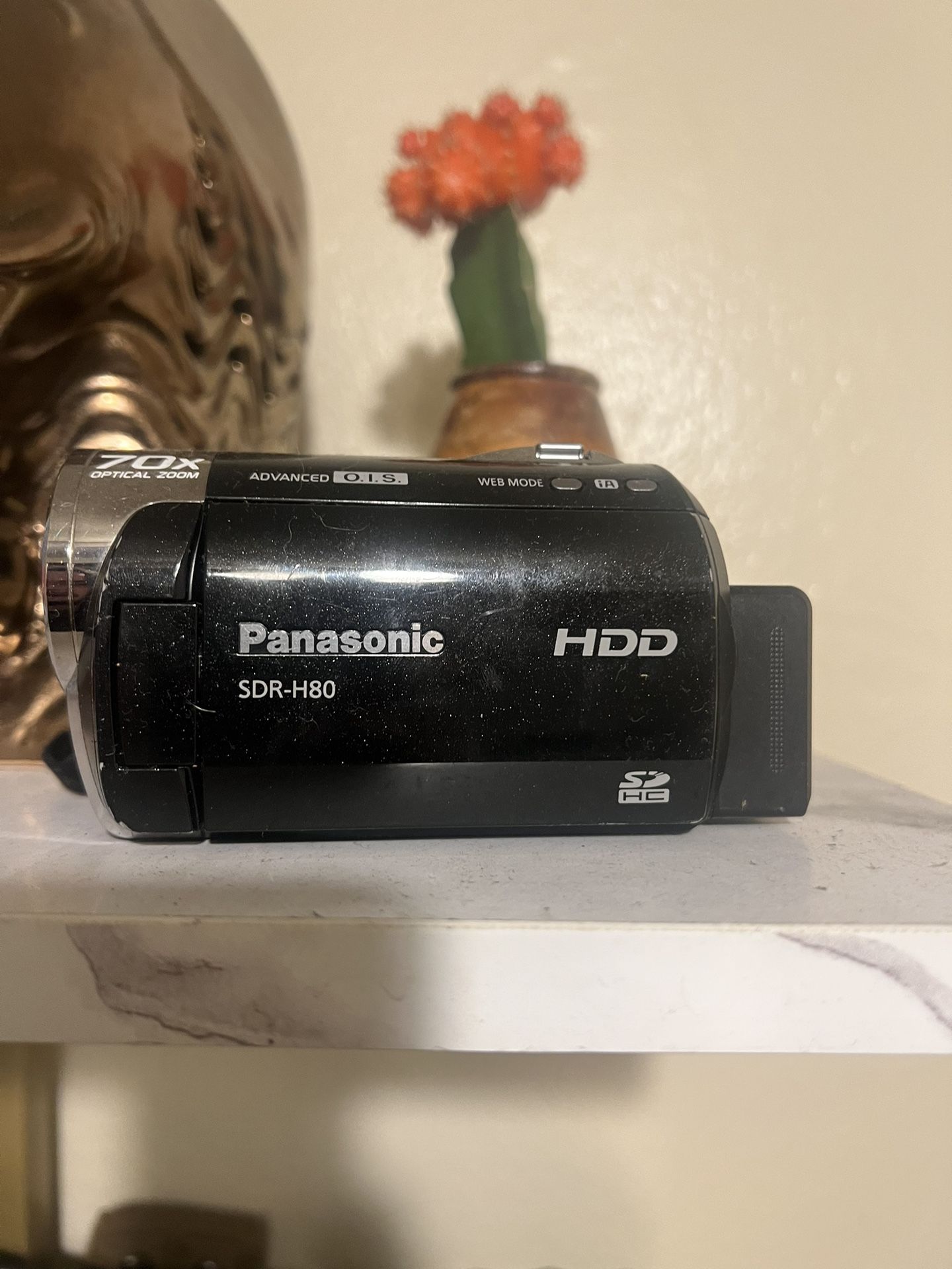 Panasonic Digital Camcorder