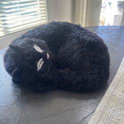 New handmade Black Cat Decoration