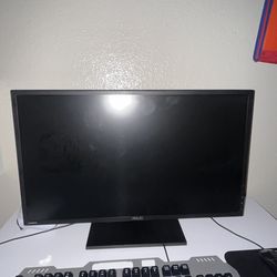 Gaming monitor