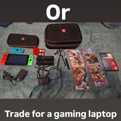 Nintendo Switch Controller 