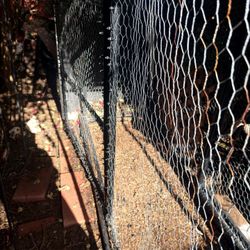 Chicken Run / Dog Metal Cage – $250