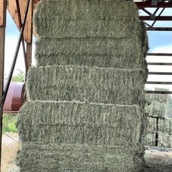 Orchard Hay