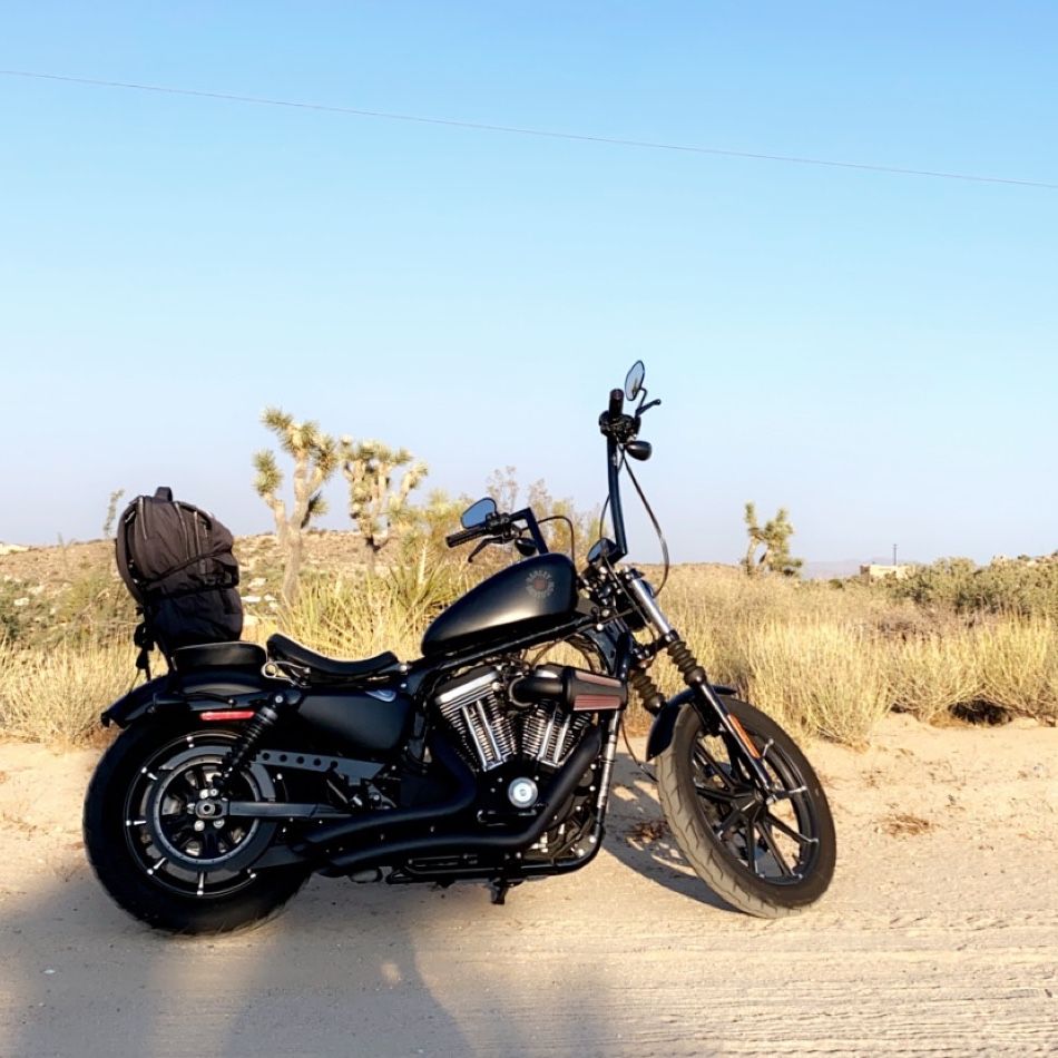 2019 Harley Davidson Iron 833