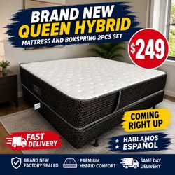 🇺🇸🇺🇸HYBRID SET $249