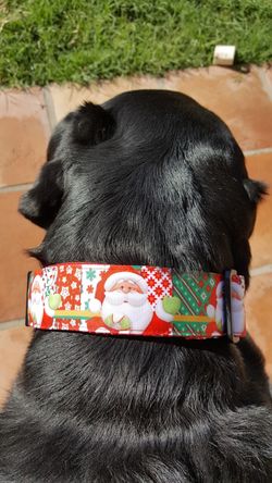 Christmas dog collars