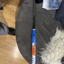 Worth Softball Bat