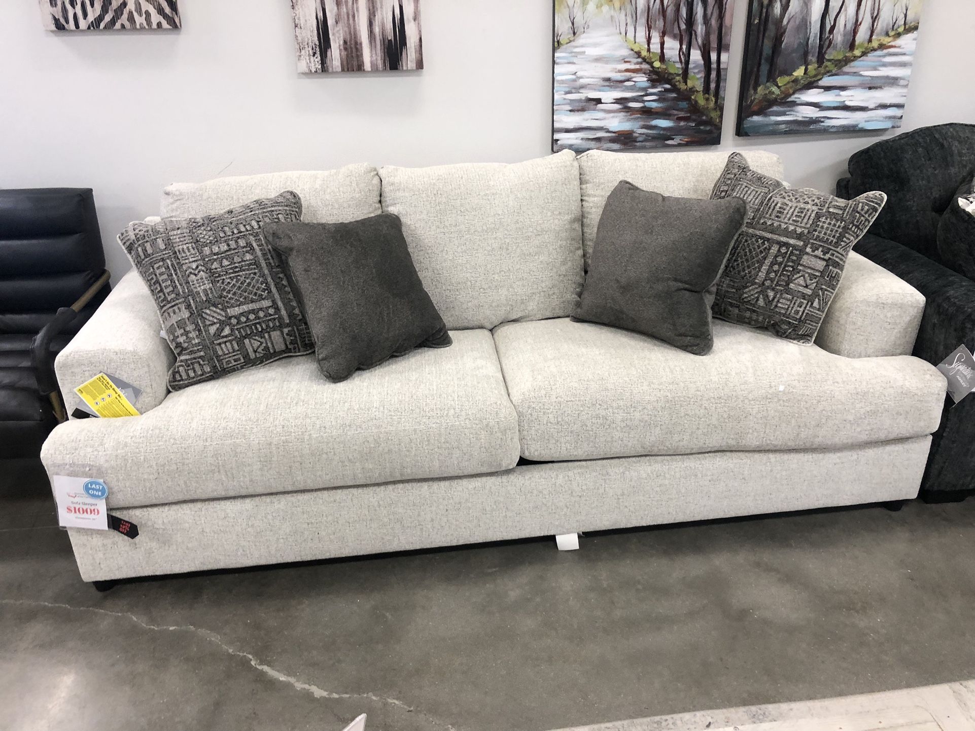 Brand New Sleeper Sofa!