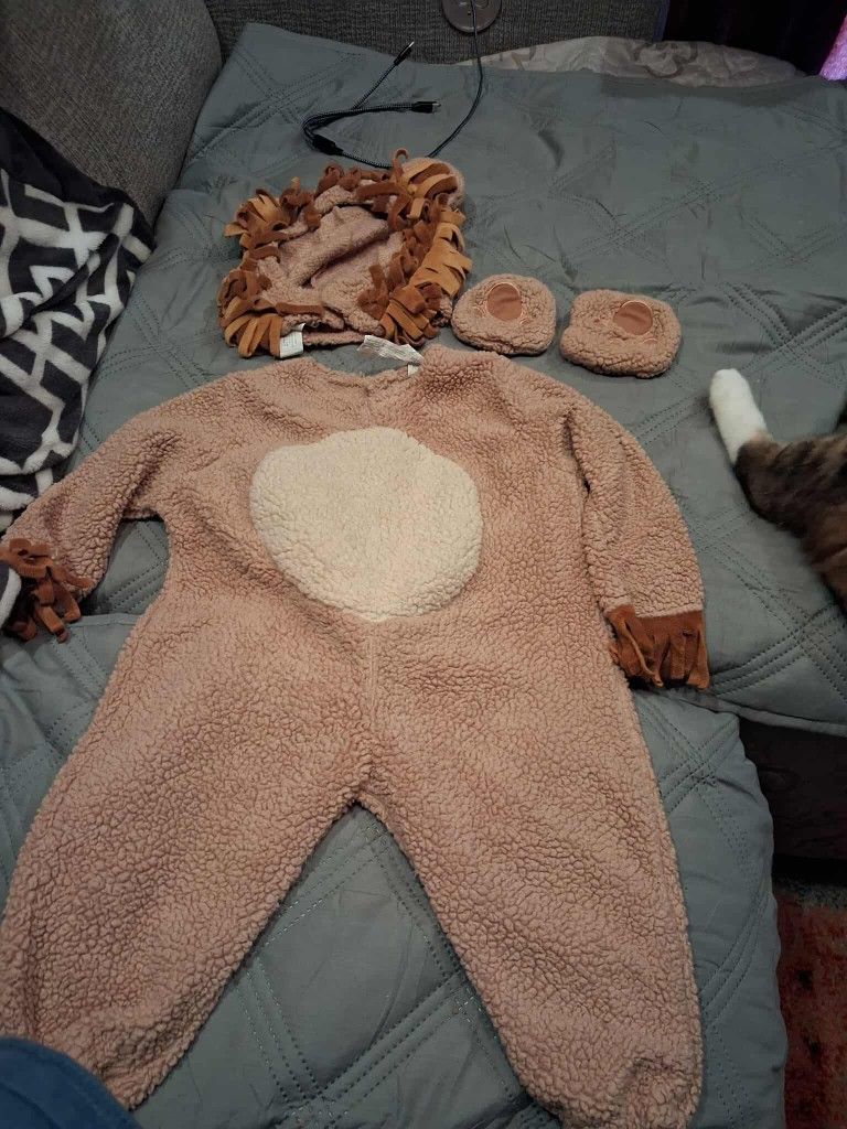 6-9 Month Lion Costume