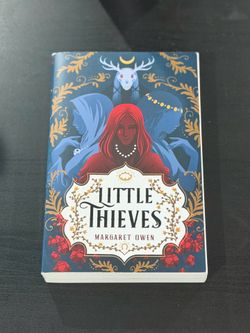 Little Thieves Book